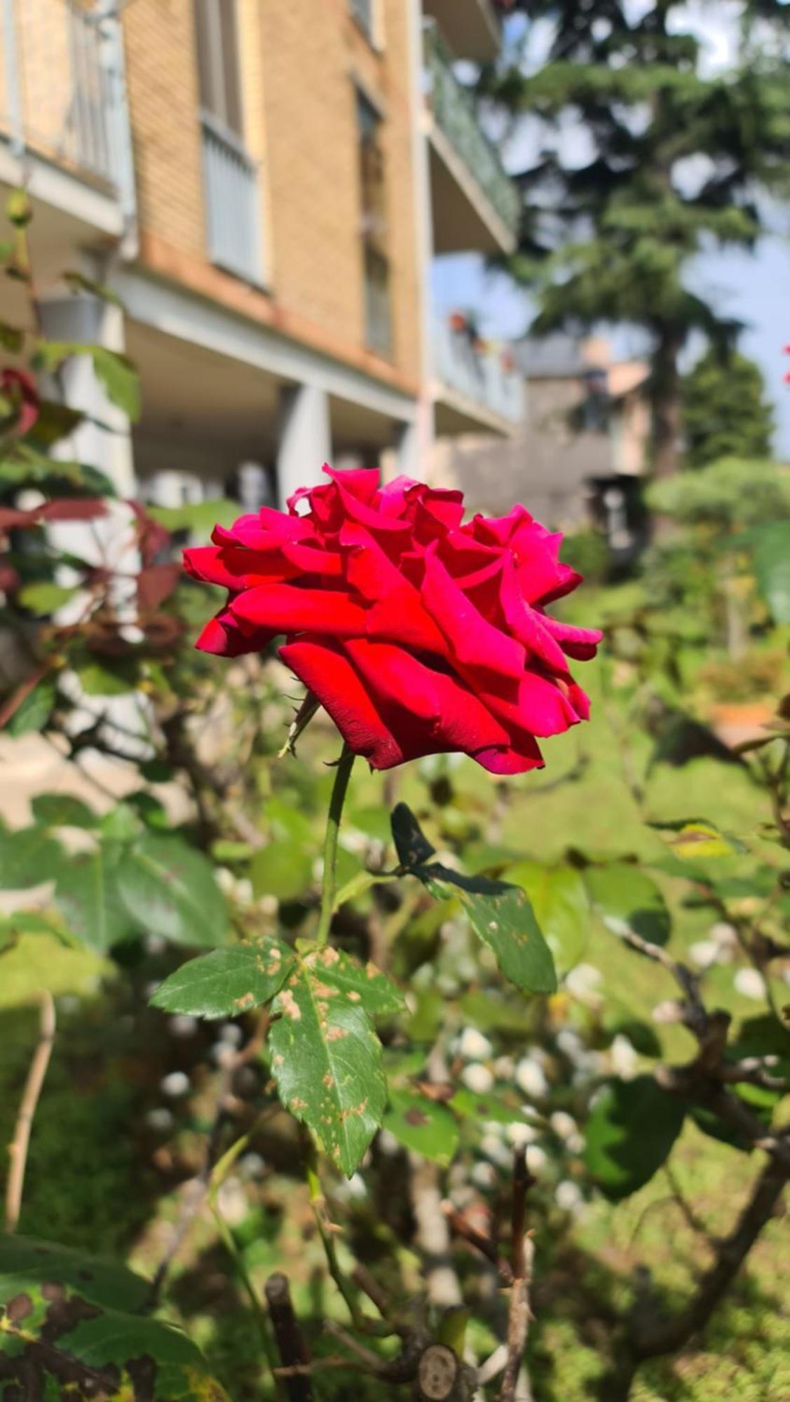 Appartamento Casa Myrina Scafati Esterno foto